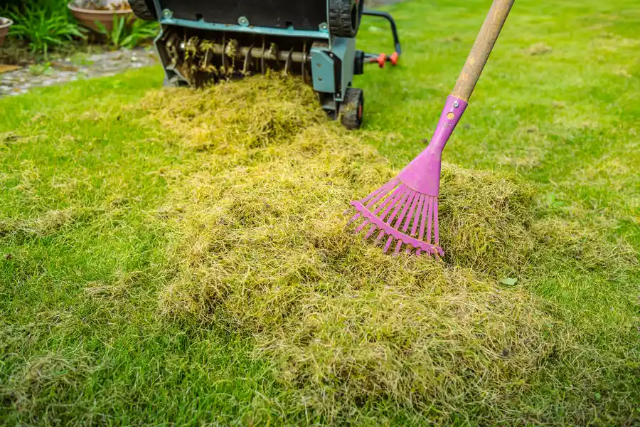 Excellent Yard Maintenance Bremerton, WA