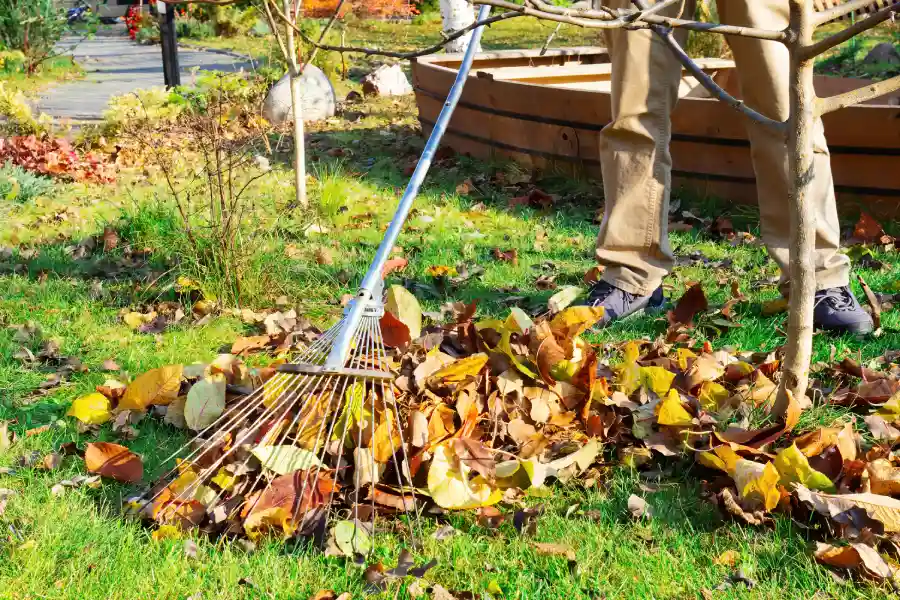 Why You Should Prioritize Yard Maintenance For Family Safety in Bremerton, WA